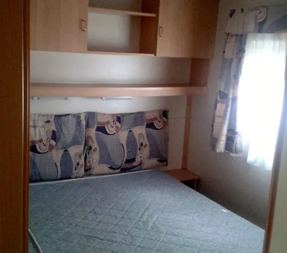 Amici Di キャンプ場 *