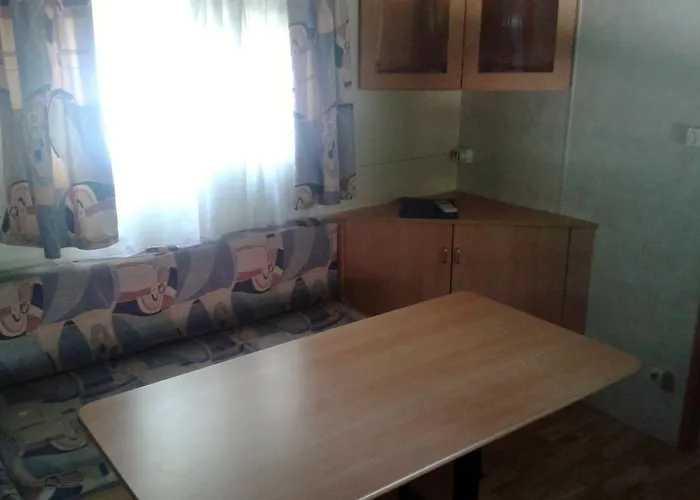 キャンプ場 Amici Di